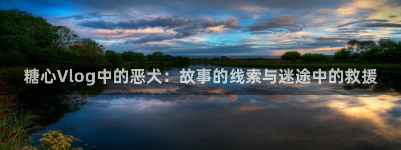 糖心vlog版本ios：糖心Vlog中的恶犬：故事的线索与迷途中的救援