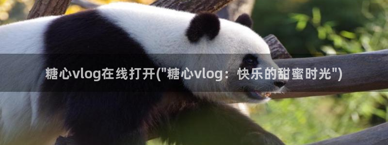 糖心vlog站长：糖心vlog在线打开(\