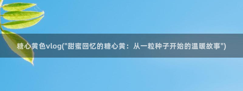 糖心vlog鸡蛋饼视频：糖心黄色vlog(\