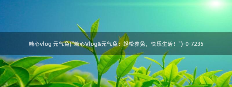 心糖vlog破解：糖心vlog 元气兔(\
