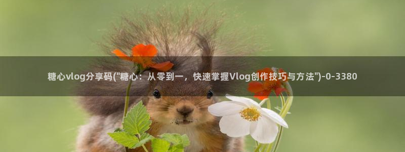 糖心vlog商店版：糖心vlog分享码(