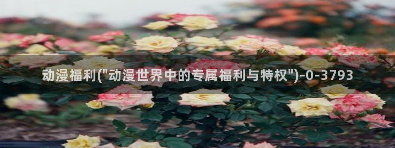 二次元动漫