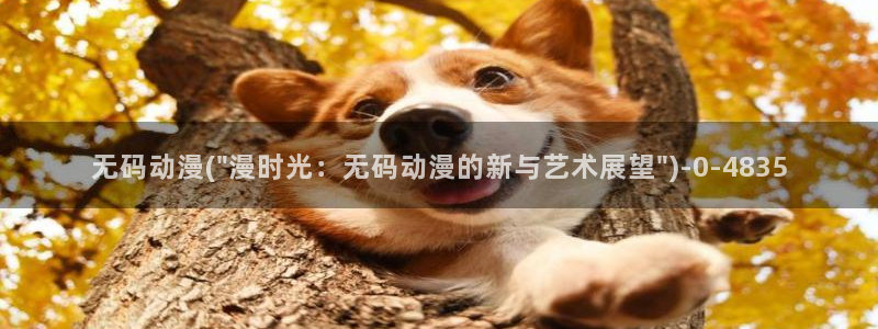 里番动漫