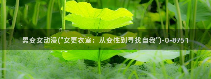 动漫游戏