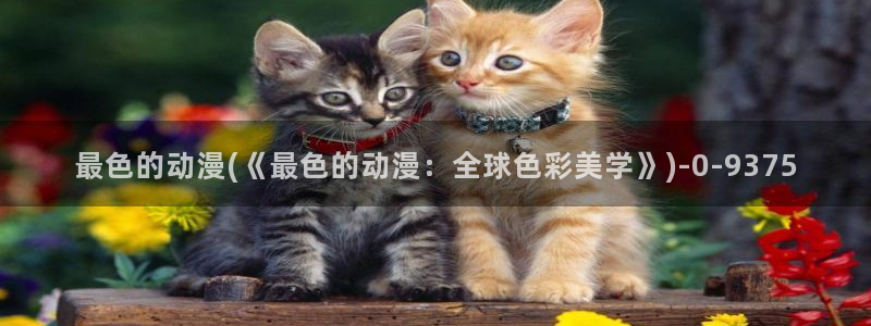 天堂动漫网