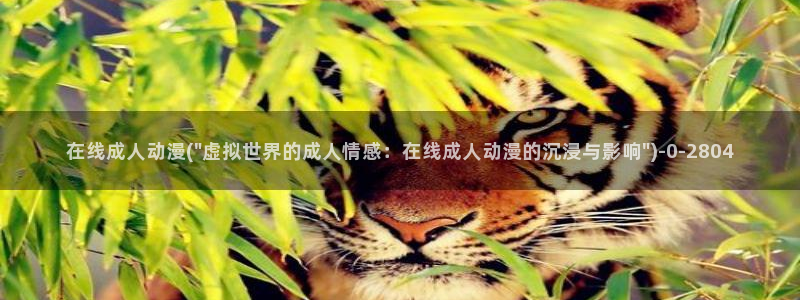 伦理动漫