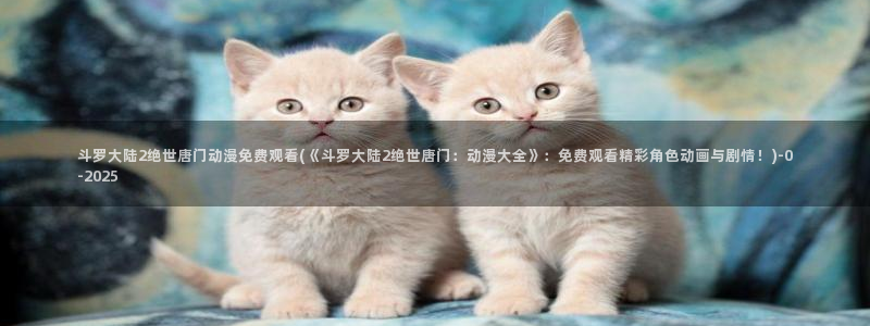 动漫游戏