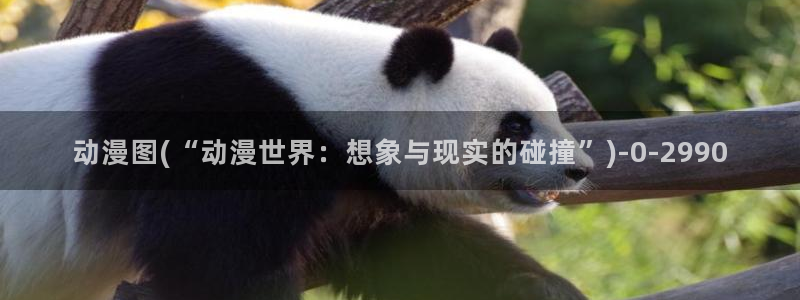 免费动漫：动漫图(“动漫世界：想象与现实的碰撞”)