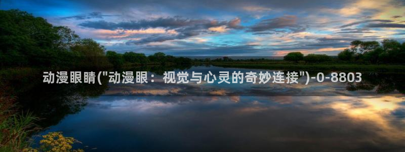 星星动漫网：动漫眼睛(\